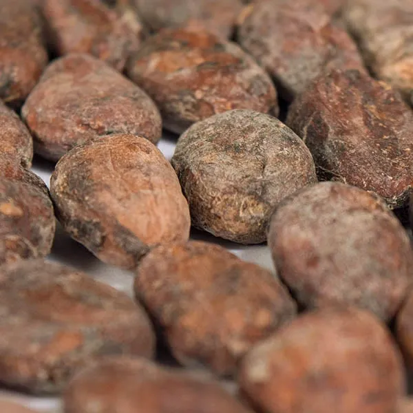 Mantuano Cocoa